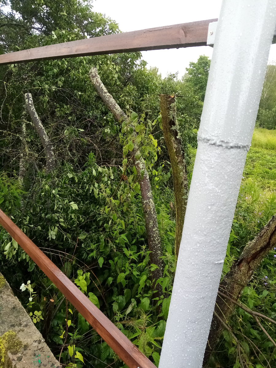 Фото автора. 