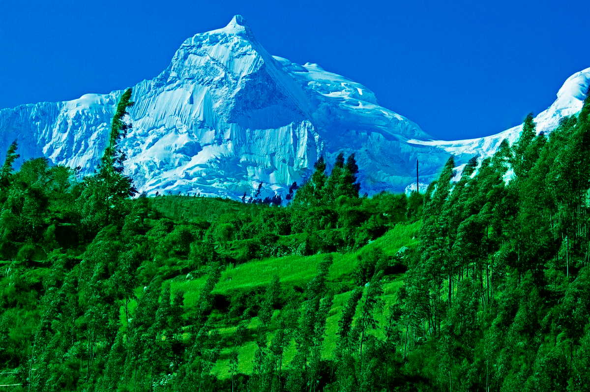 Особенности поиска
Таяние ледников помогает обнаруживать тела пропавших альпинистов, которые были скрыты под слоем льда десятилетиями.

Изменение климата привело к тому, что за последние 58 лет ледники Перу потеряли более половины своего ледового покрова.

Статистика
Кордильера-Бланка — горный хребет, где происходит большинство случаев исчезновения альпинистов.

Уаскаран — самая высокая точка Перу (6768 метров), где часто происходят несчастные случаи с альпинистами.

Современные тенденции
Рост числа находок связан с ускоренным таянием ледников в Андах.

Улучшение технологий поиска помогает находить останки пропавших альпинистов даже в самых труднодоступных местах.