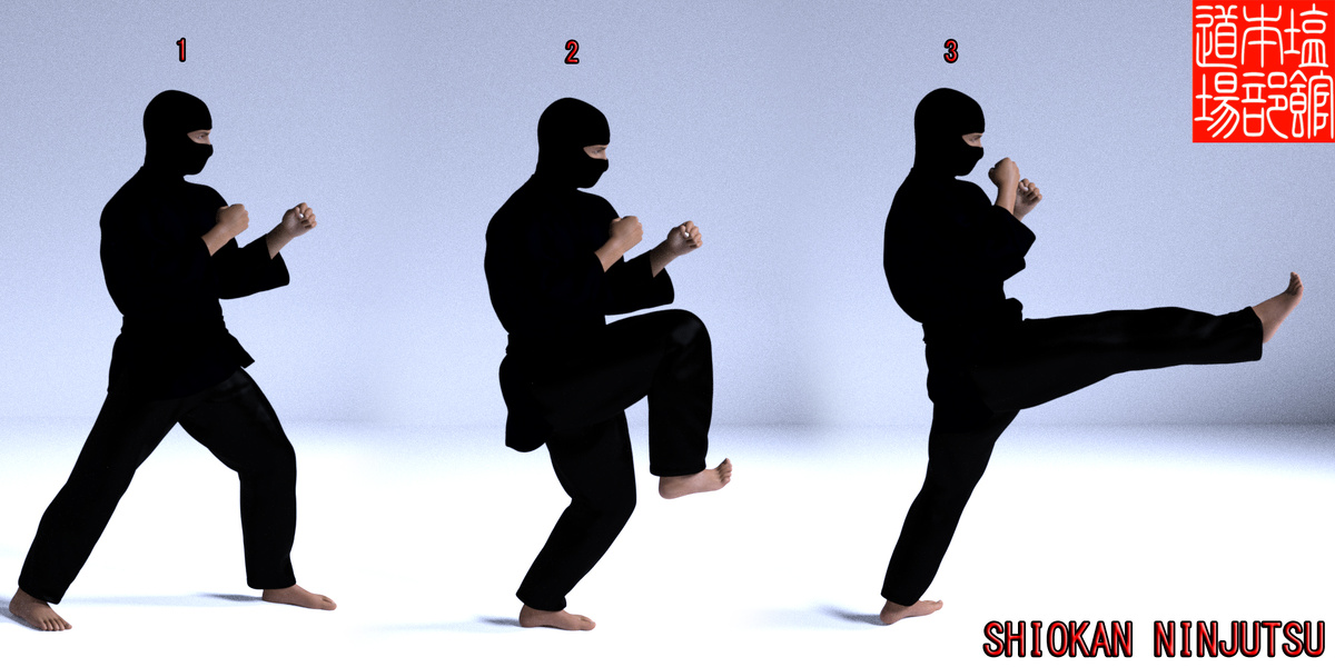 Рис. 1   Маэ гери кекоми. 前 蹴り蹴込み.  Mae geri kekomi. (ninja Shiokan)