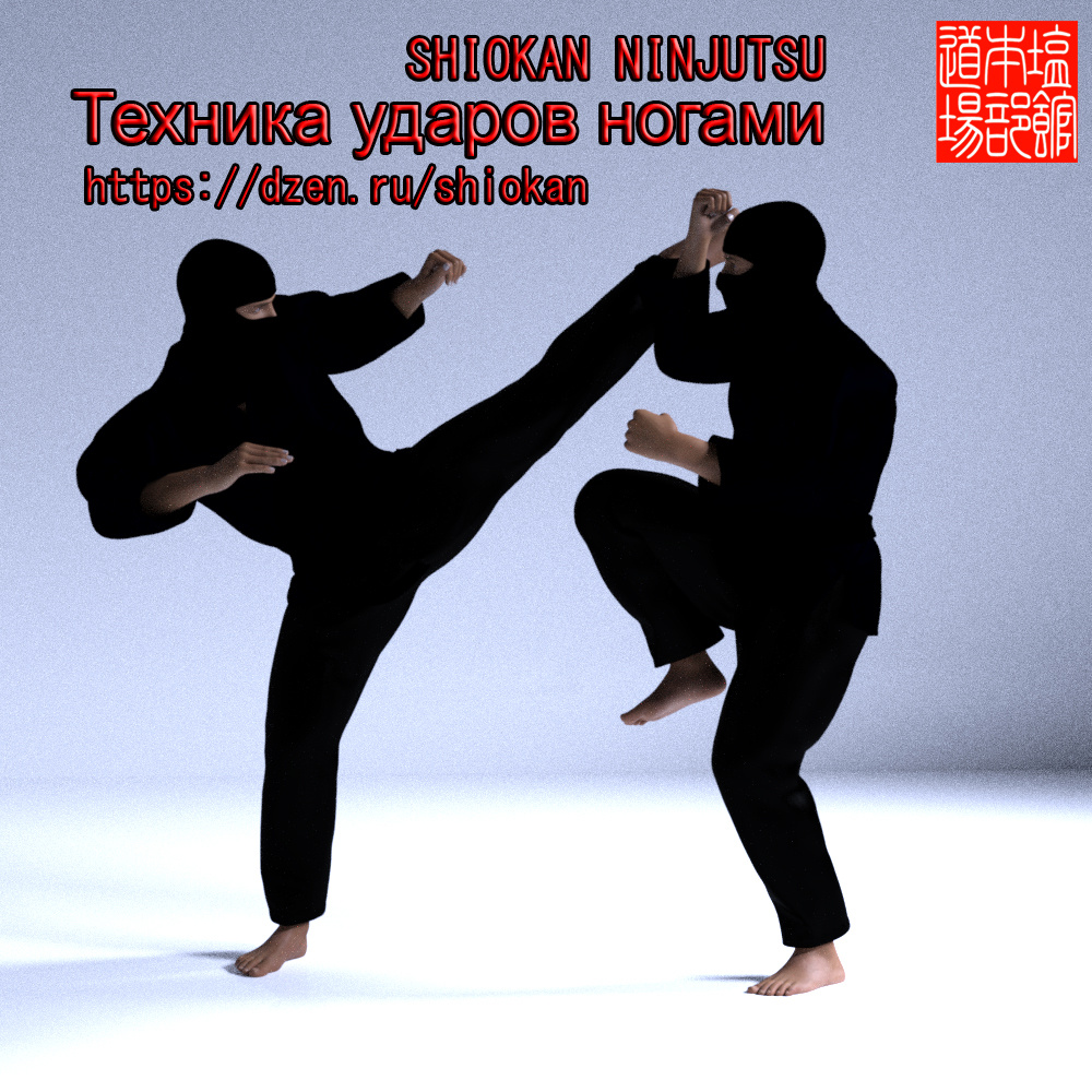 Техника ударов ногами, ниндзя Шиокан (ninja Shiokan)