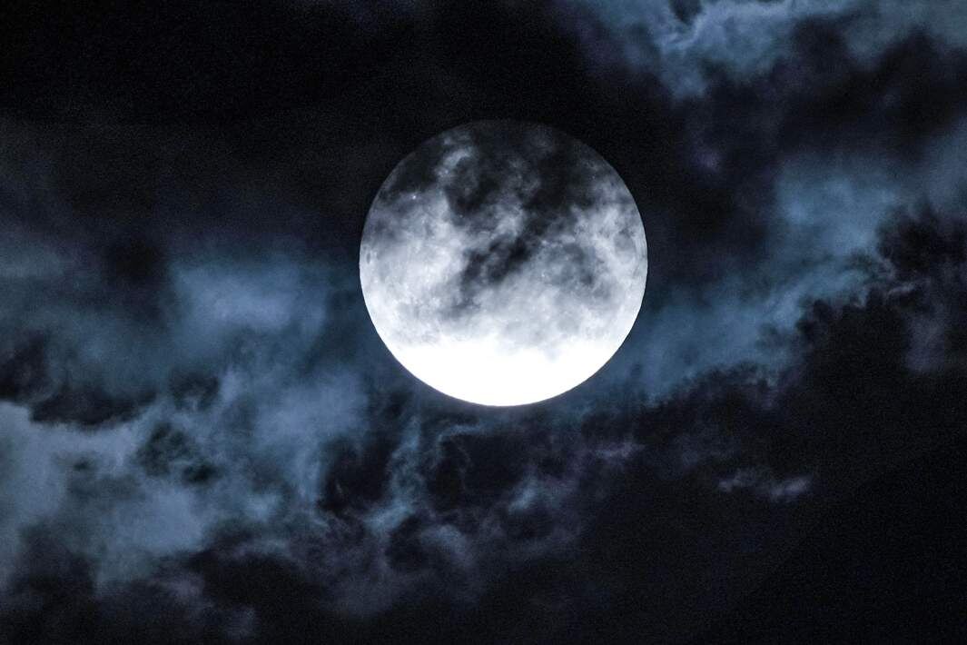 Фото: ИЗВЕСТИЯ/Сергей Лантюхов