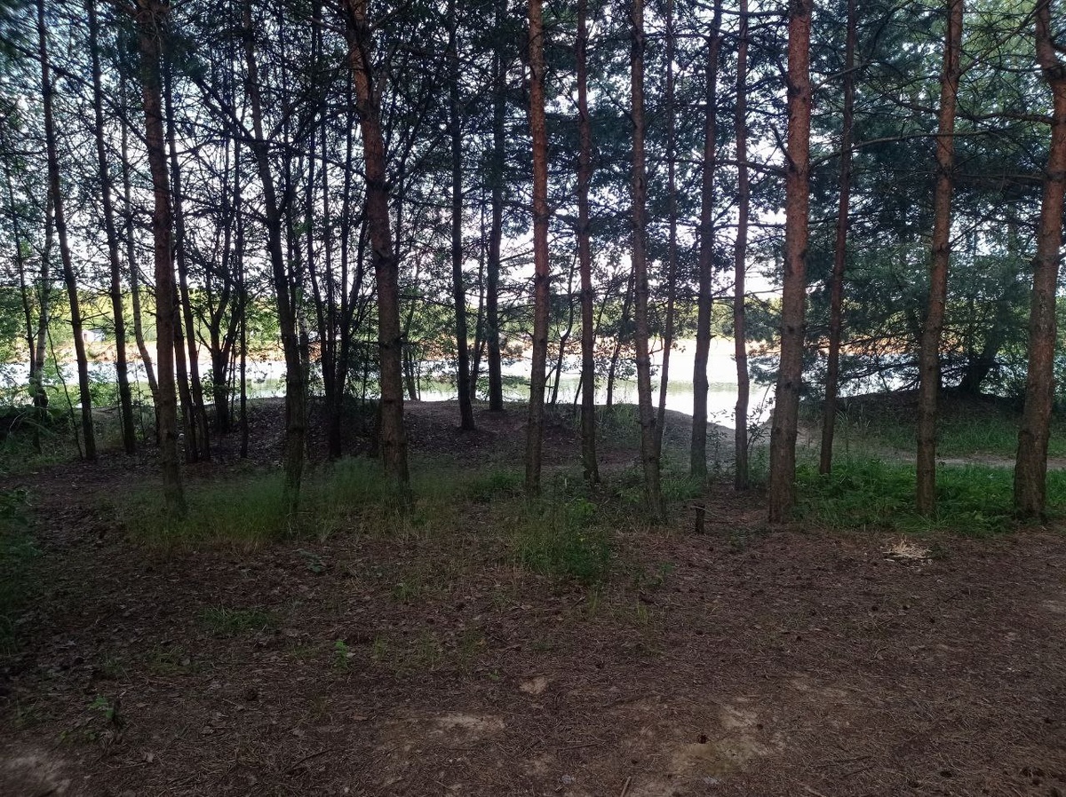 Вид от палатки.