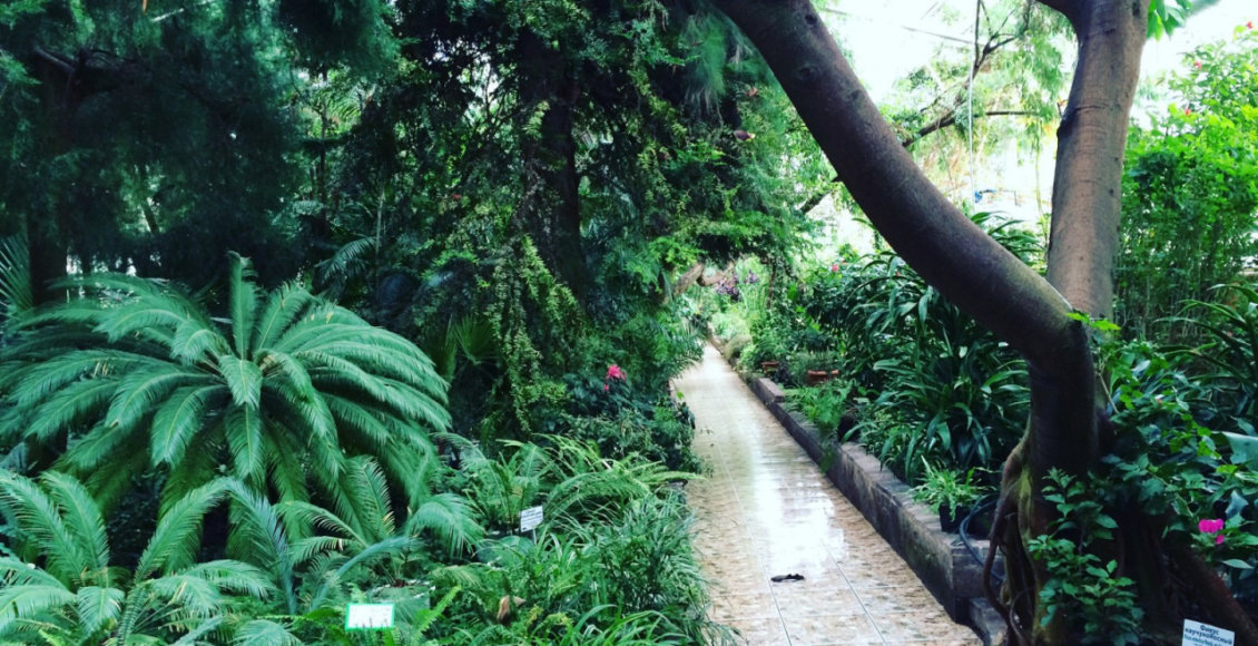    Фото: vesturism.ru