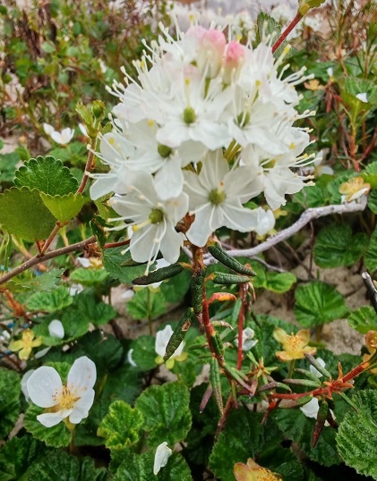 Фотография из личного архива автора
