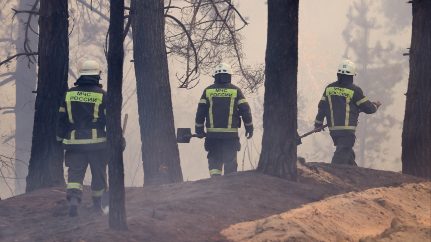    Фото: Река Александр/ТАСС; 5-tv.ru