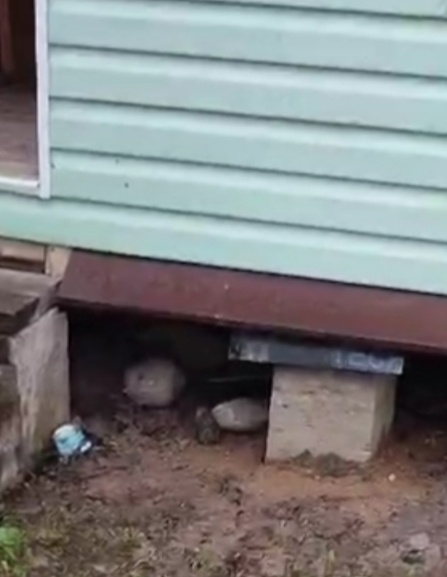 Теперь ровненько