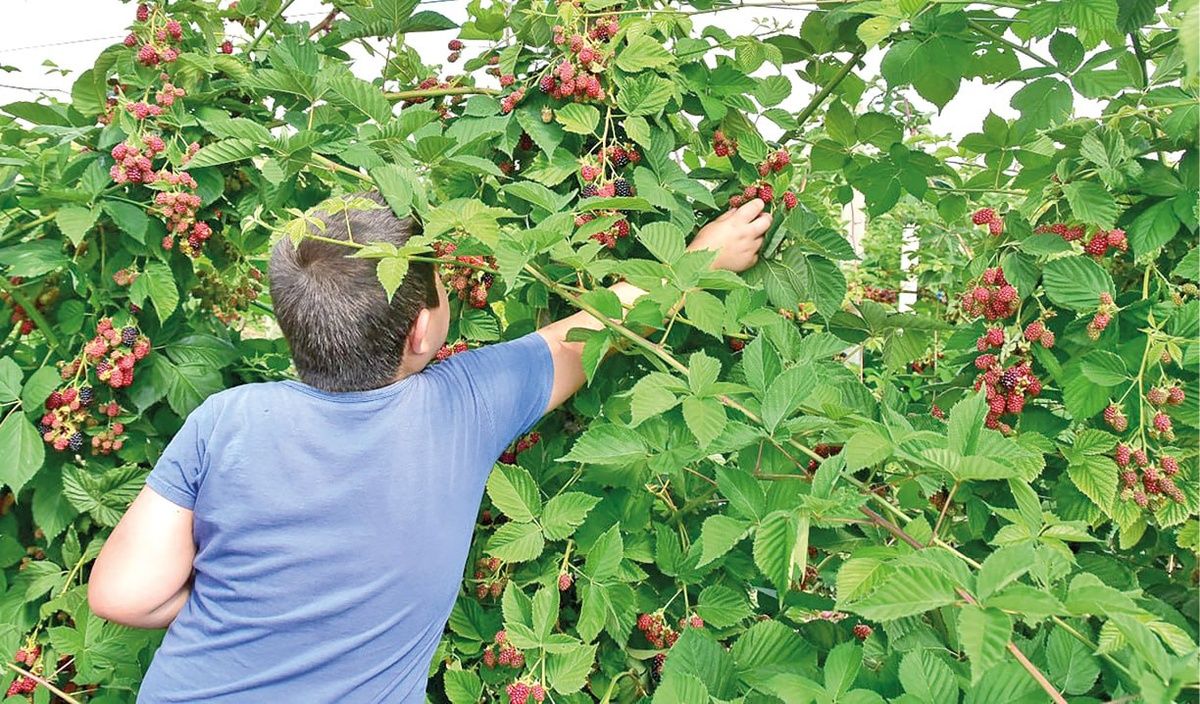 Фото: Гала Амарандо