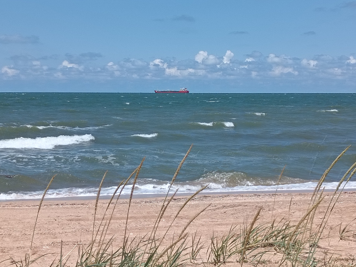 Голубицкая