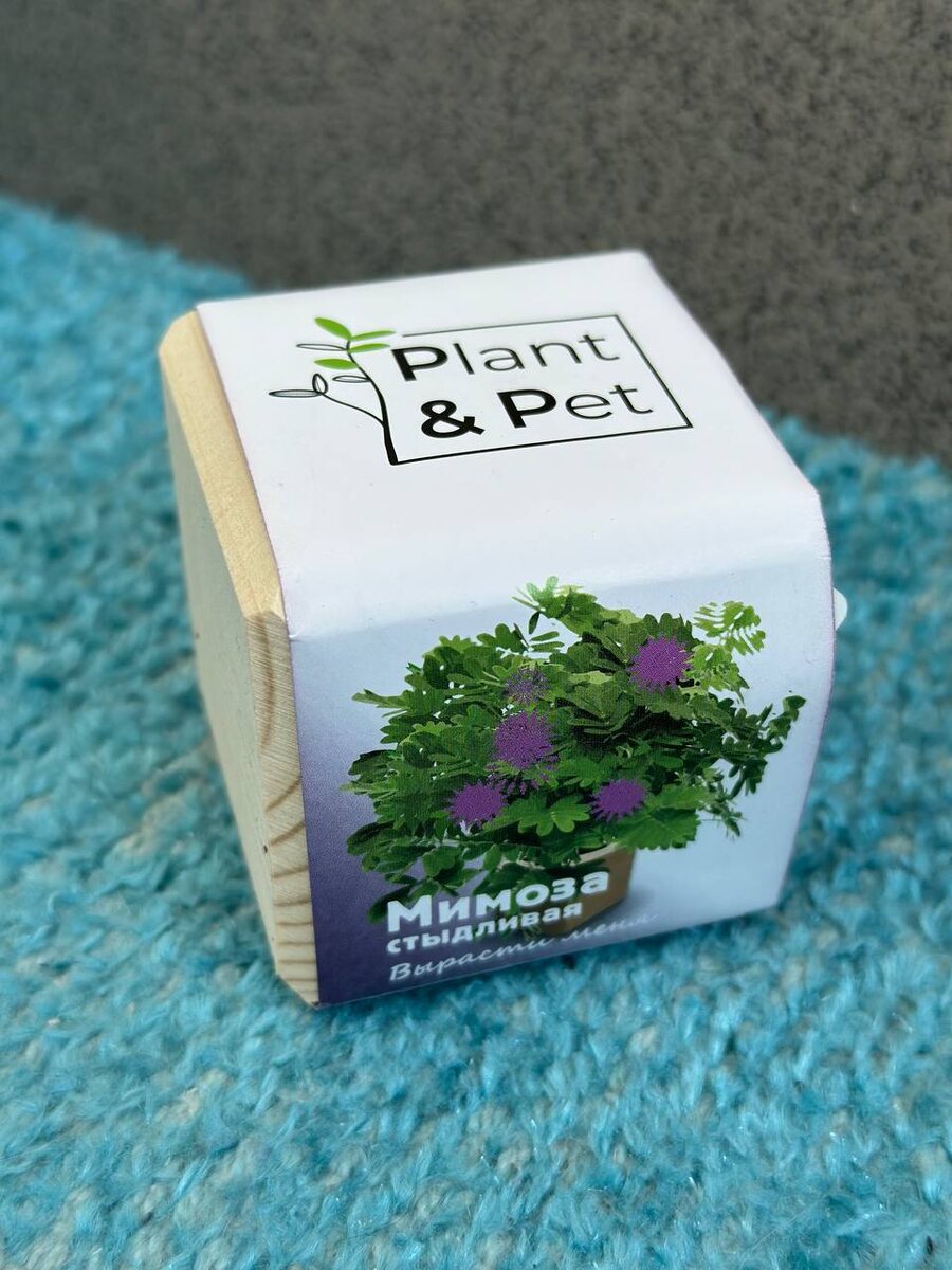 Набор для выращивания Plant & Pet "Мимоза стыдливая"