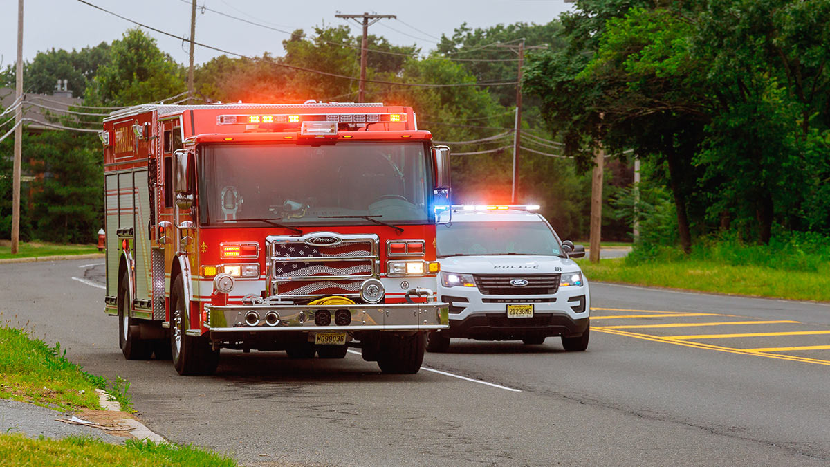 ©ungvar / Shutterstock/Fotodom