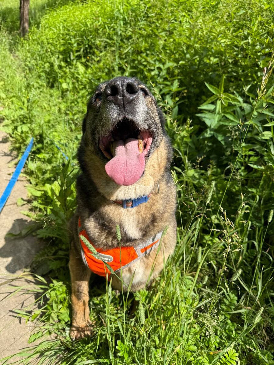 Всех людей люблю, даже тех, кого еще не знаю)