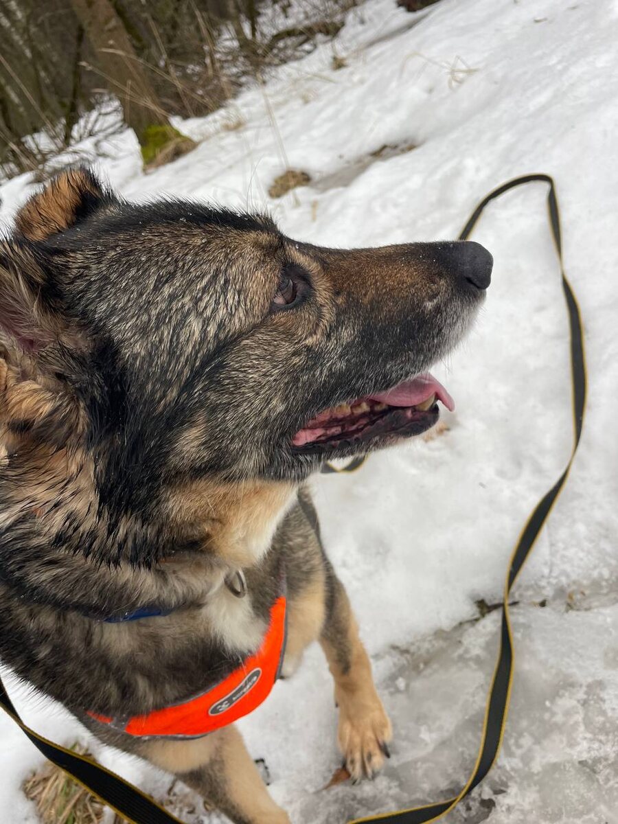 "Почему я здесь? Где мой новый дом?",- Грета очень часто задумчива