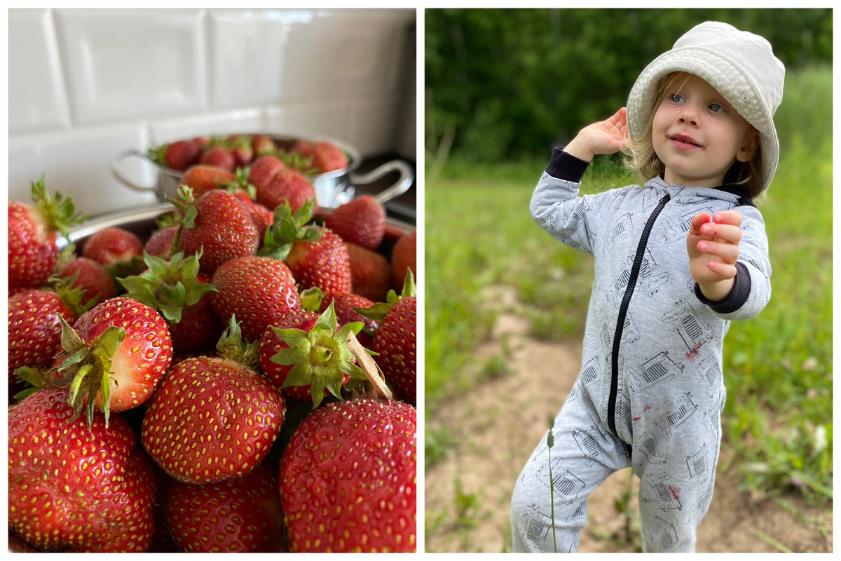 Клубника до употребления ребенком и ребенок после употребления земляники 