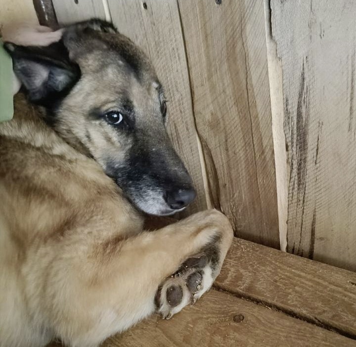 Никто не ожидал от бояки такого !