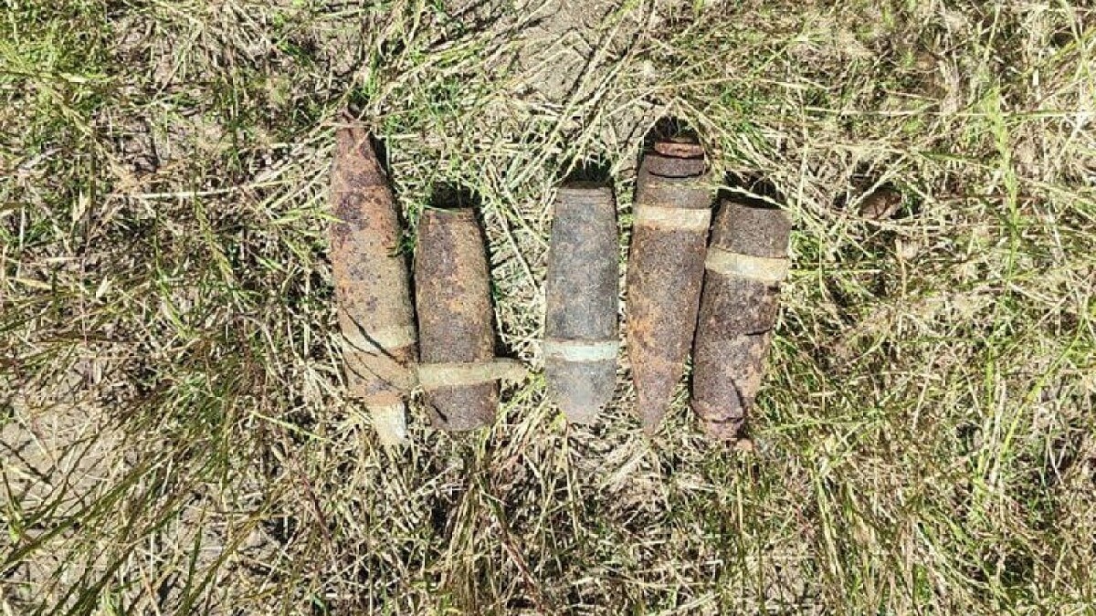    Фото: пресс-служба Росгвардии по Краснодарскому краю