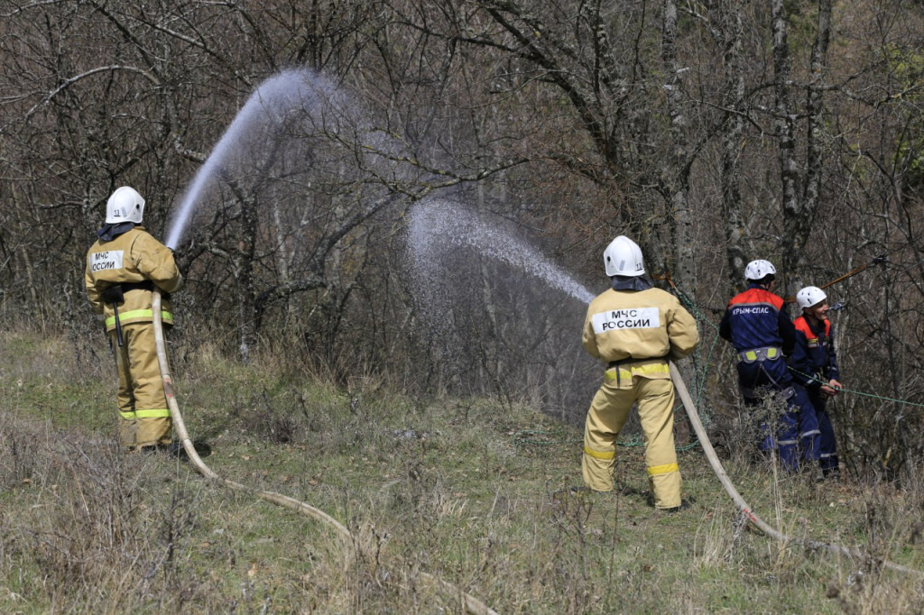Фото: Наталья Сомова