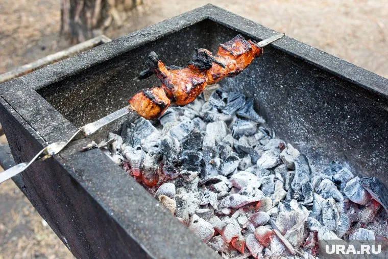 Инцидент произошел в момент розжига угля в мангале
Фото: Денис Моргунов © URA.RU