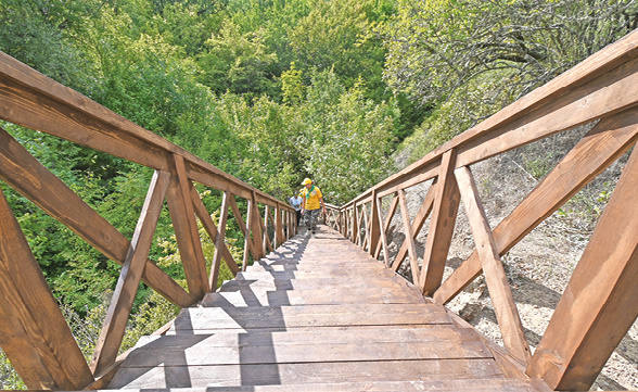 Фото: Гала Амарандо