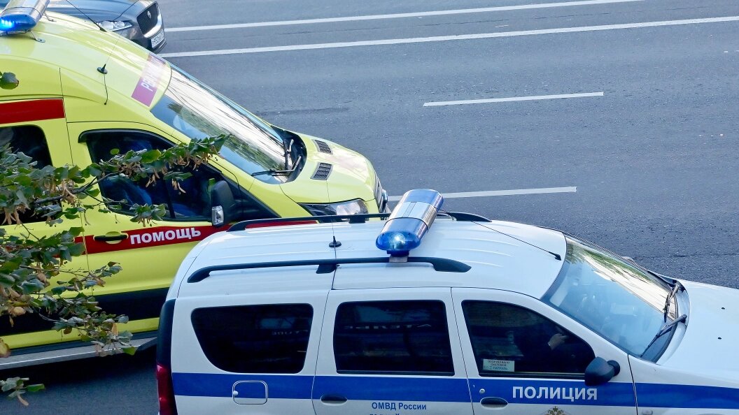    Фото: Vladimir Baranov/Globallook Press/Globallookpress