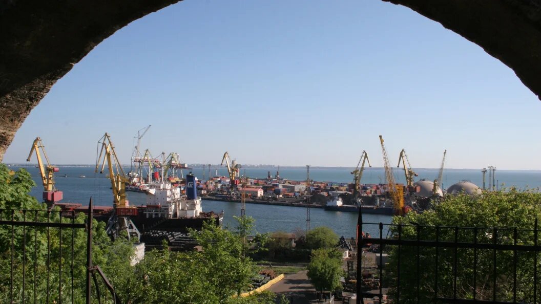    Фото: Server Amzayev/Russian Look/Globallookpress