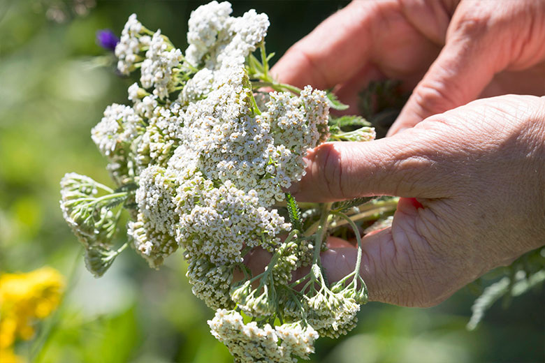    F. Hecker via www.imago-images.d/Global Look Press