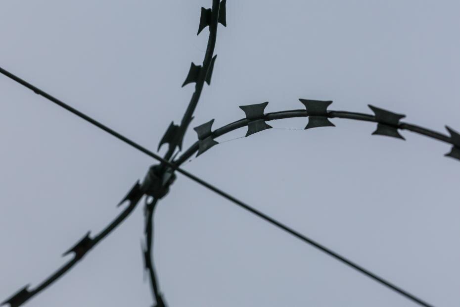    Алексей Белкин/NEWS.ru