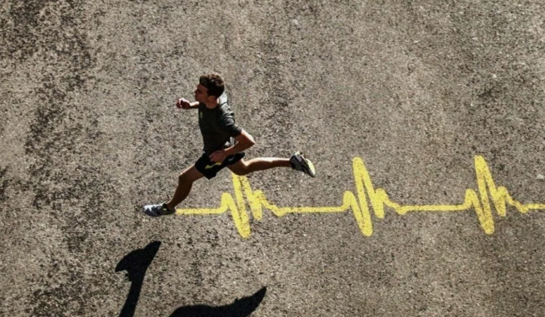 Из Интернета