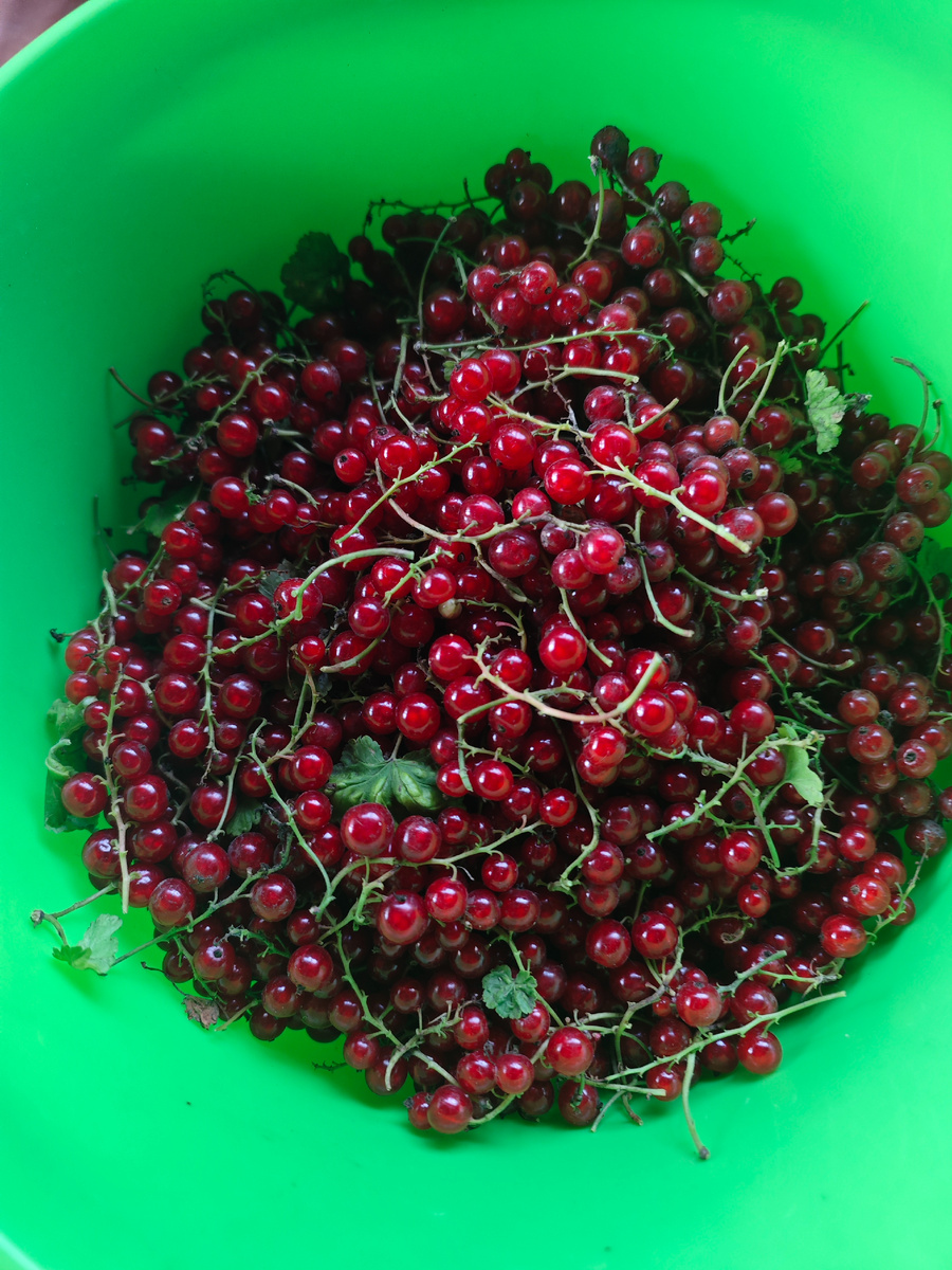 Фото автора канала 