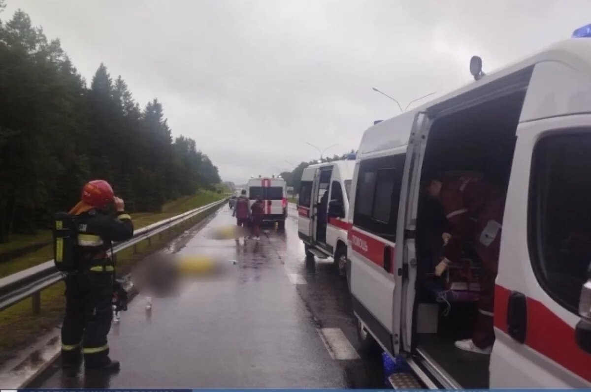    Тела семьи, погибшей в ДТП в Беларуси, транспортируют в Прикамье