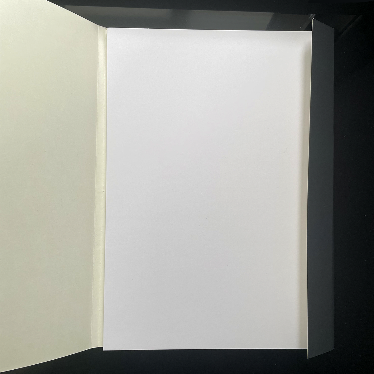 Белая белизна. Надеюсь, люди, у которых есть боязнь чистого листа, не подвергнутся колоссальным нравственным страданиям морального характера при виде подобных фото.