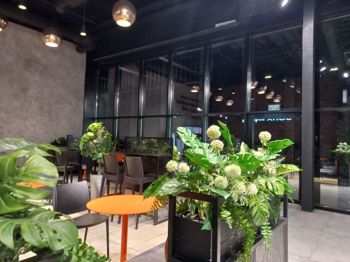 Фото автора.