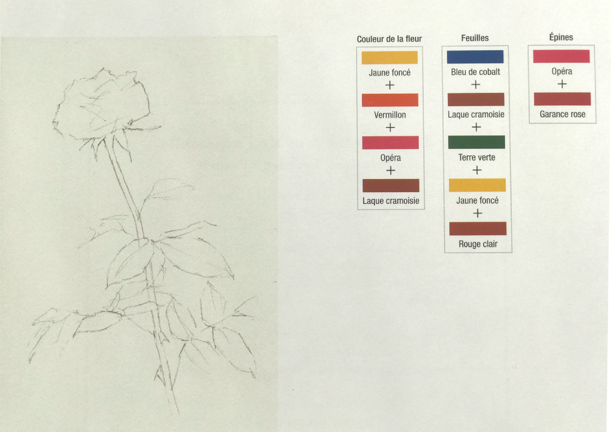 Цветок

  - Темно-желтый  
  - Вермильон  
  - Розово-красный
  - Лак малиновый  
  

 Листья  
    - Кобальт синий  
    - Лак малиновый  
    - Зеленая земля  
    - Темно-желтый  
    - Светло-красный 

  Шипы  
 -Розово-красный  
 -Розовый мареновый  