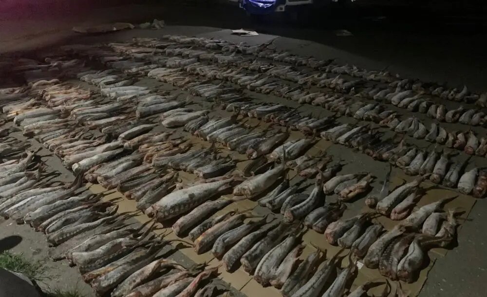     © Оперативная съемка УФСБ России по Дагестану