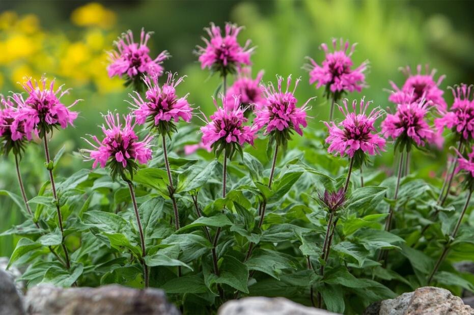    Сгенерировано в Midjourney/NEWS.ru