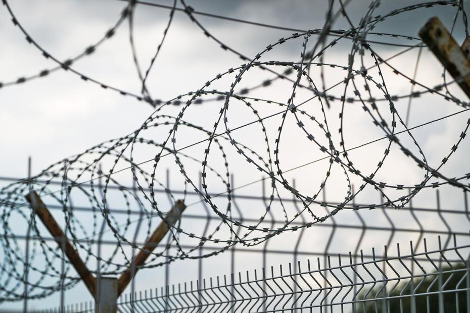    Алексей Белкин/NEWS.ru