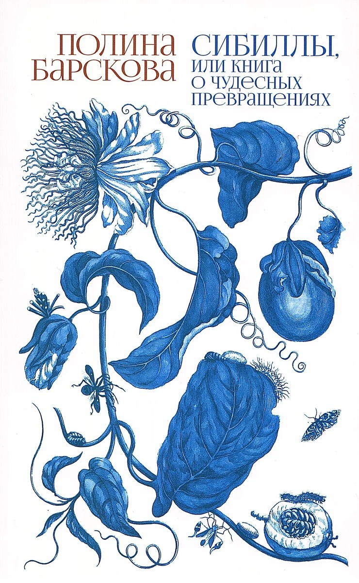 Обложка книги Полины Барсковой