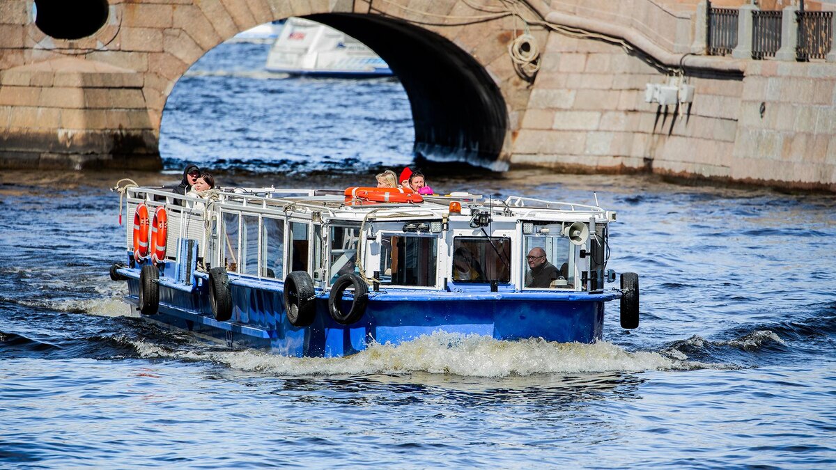    Фото: ИЗВЕСТИЯ/Телеканал «78»