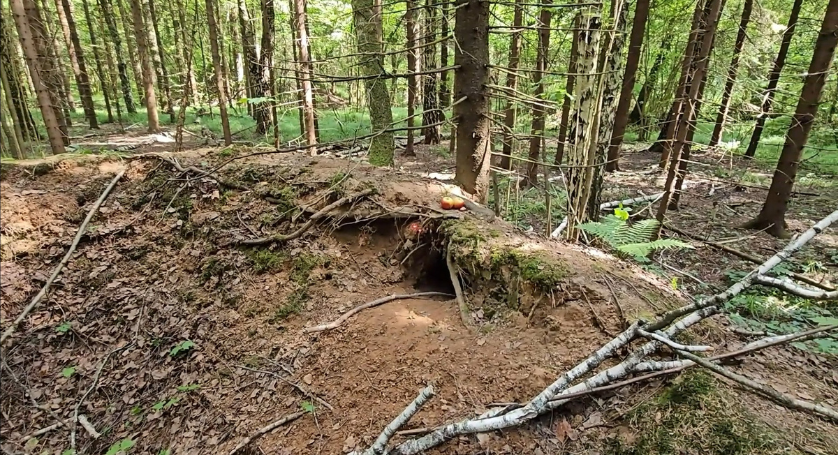 Гора, нора...