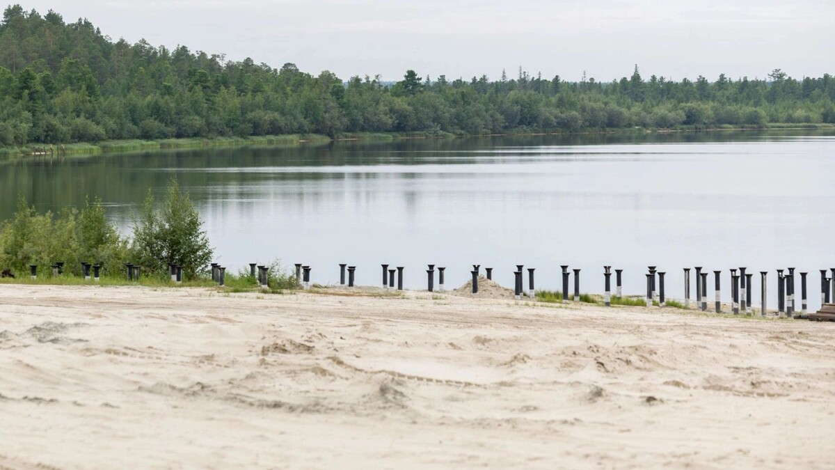   Фото: Федор Воронов / «Ямал-Медиа»