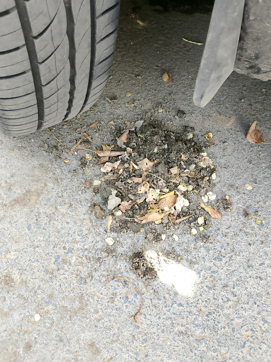 Мусор за левым подкрылком