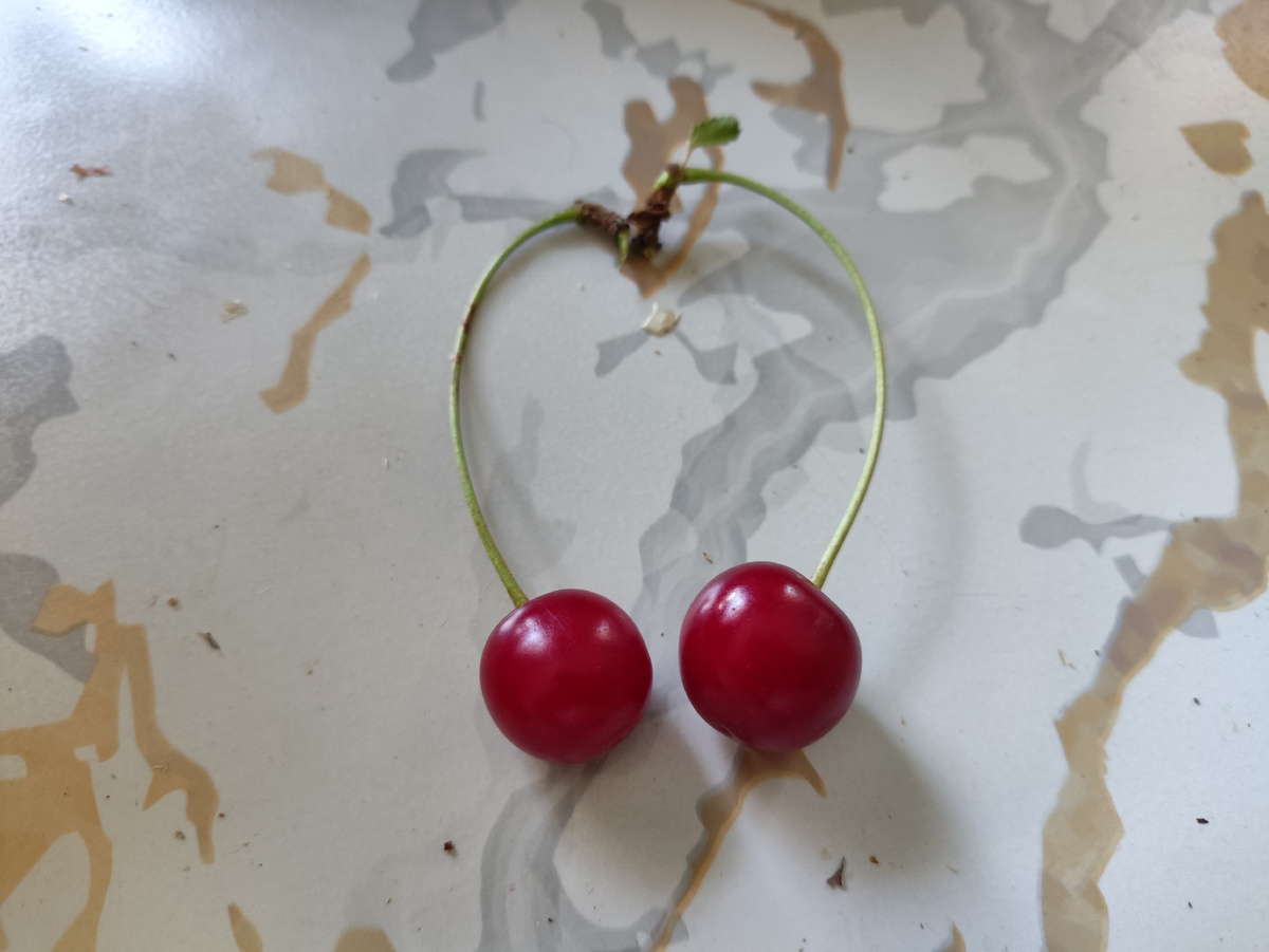 Это весь наш урожай вишни )))