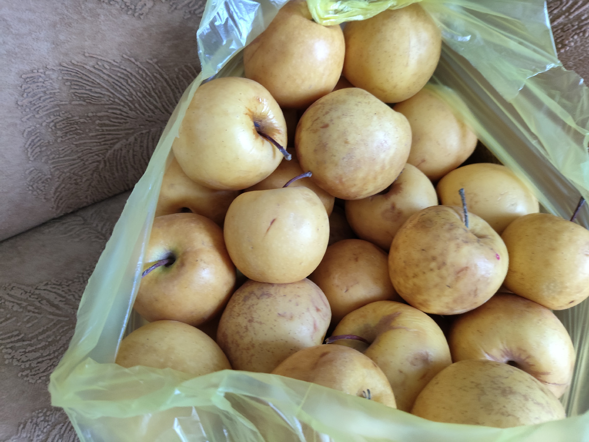 Вот такие яблочки по 50 рублей покупаю. Вкусные!