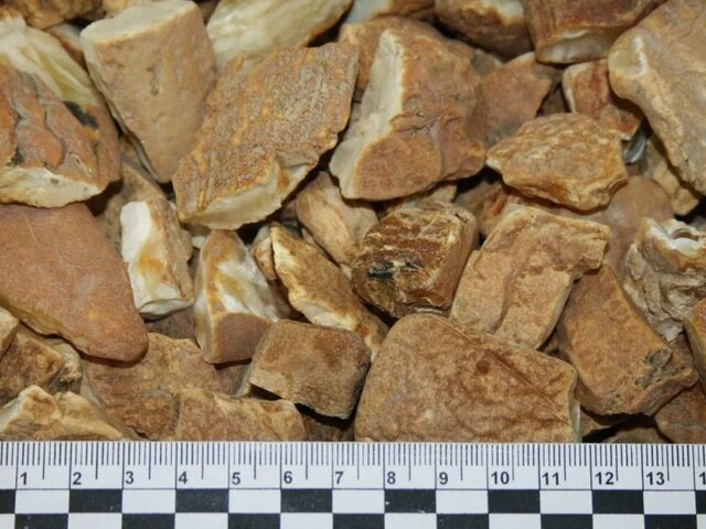    Фото: телеграм-канал "ФТС России | ProТаможню"