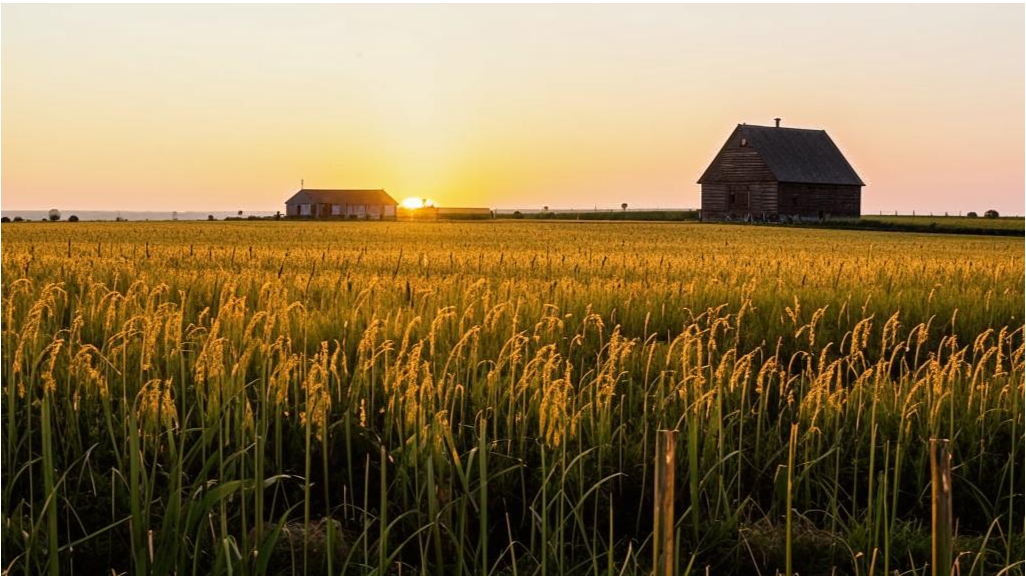 Вид из окна спальни Джози. Иллюстрация сгенерирована на сайте https://fusionbrain.ai/editor/