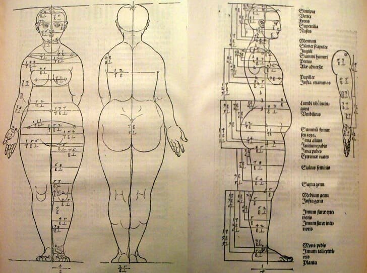    Схема, созданная Альбрехтом Дюрером