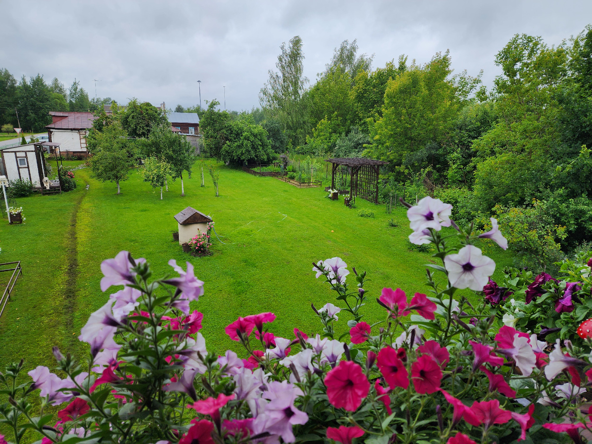 Алабаева тропа - слева)