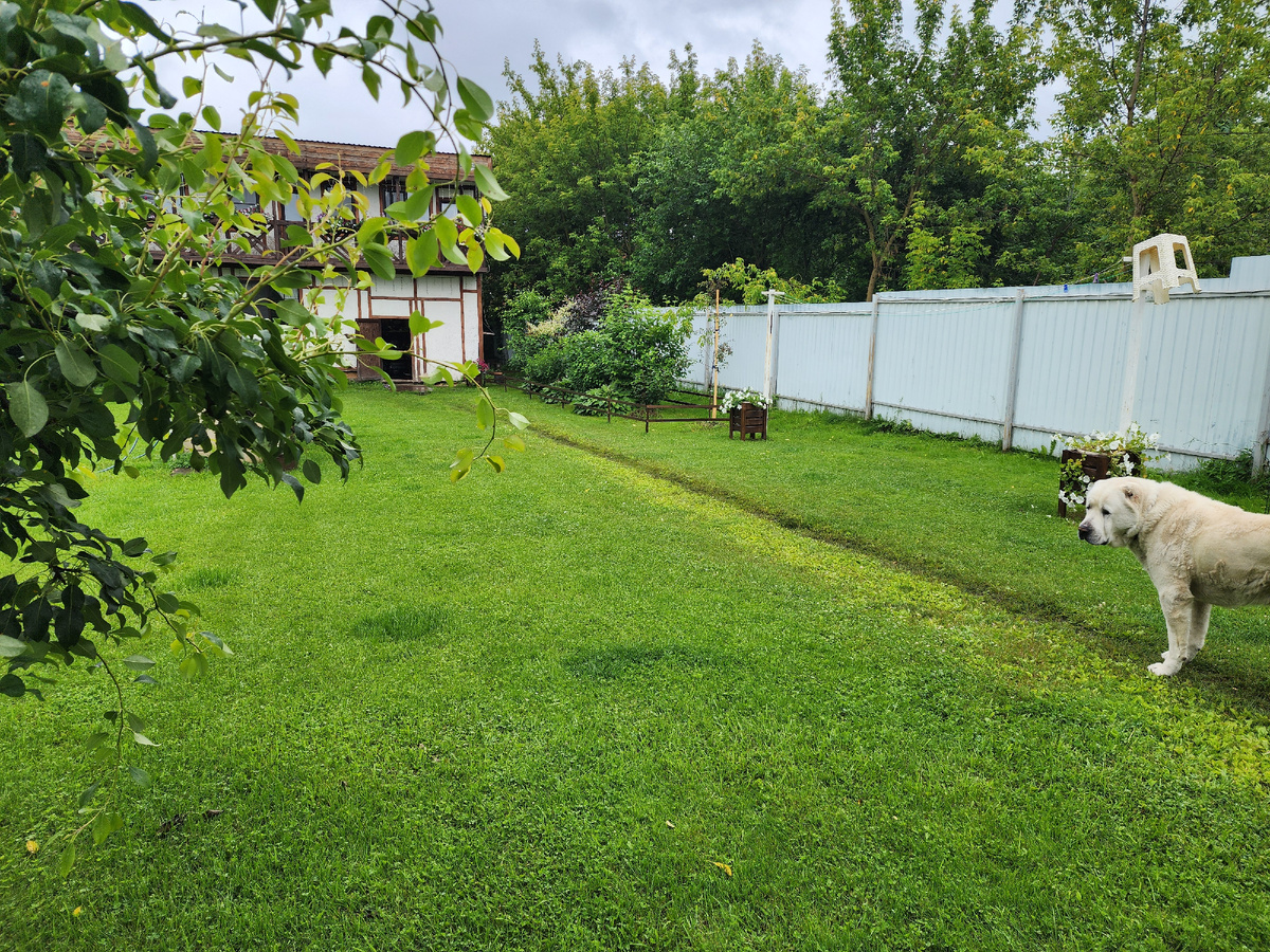 Ни шагу с тропы))) Линяем после зимы.