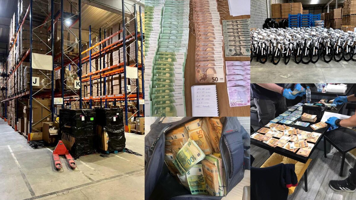 Источник: EPPO