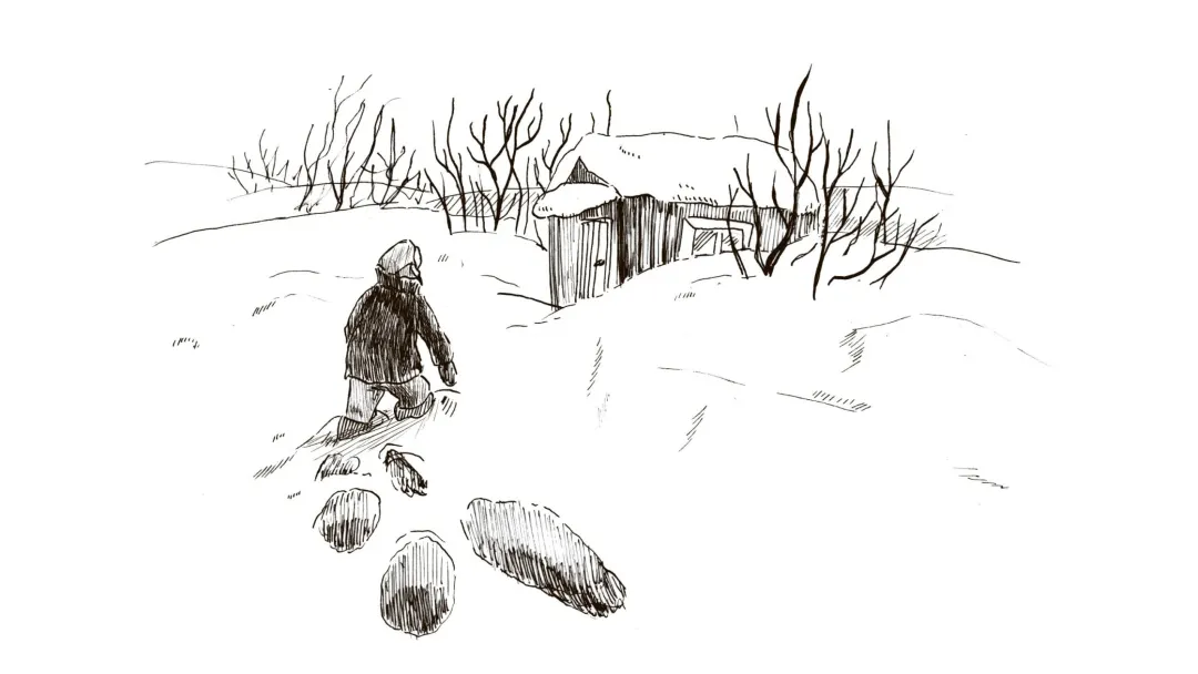 Иллюстрация: Ольга Ламдо/АНО «Ямал-Медиа»