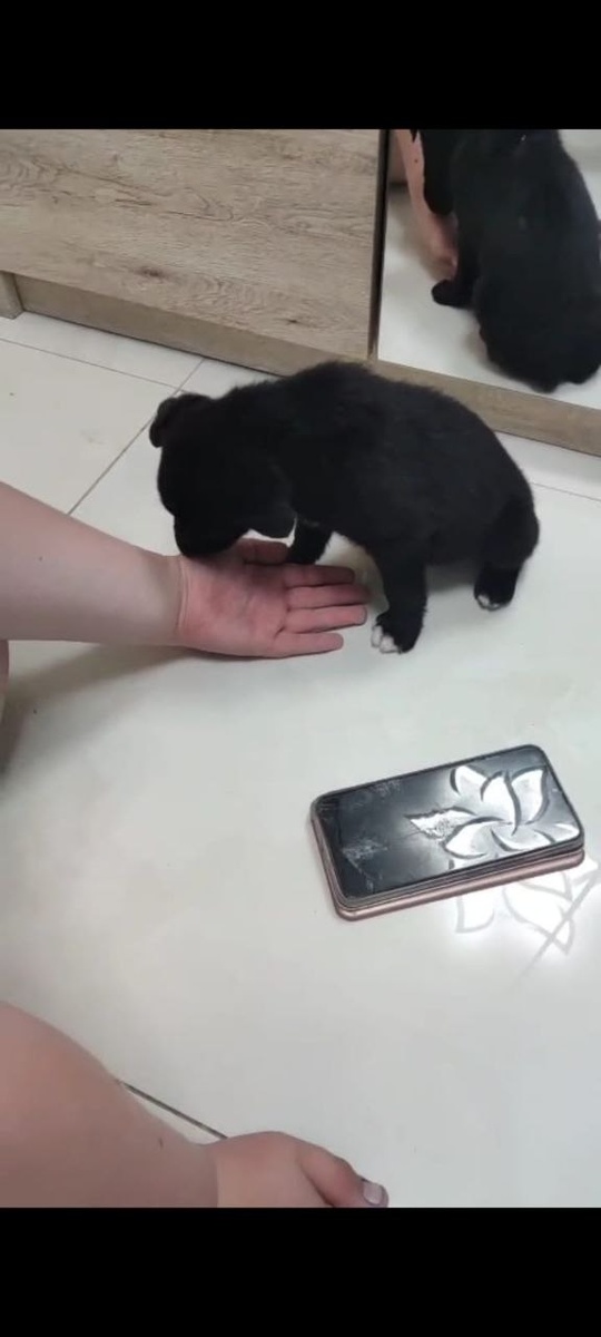 Из архива автора